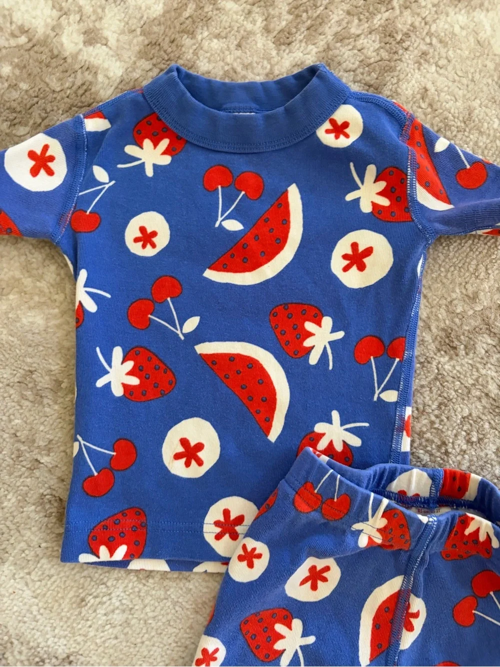 Hanna Andersson Blue Red White Fruit Print Pajama Set